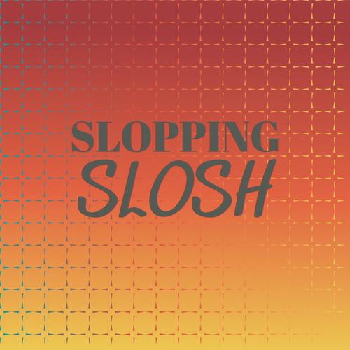 Slopping Slosh