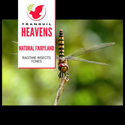 Natural Fairyland - Ragtime Insects Tones