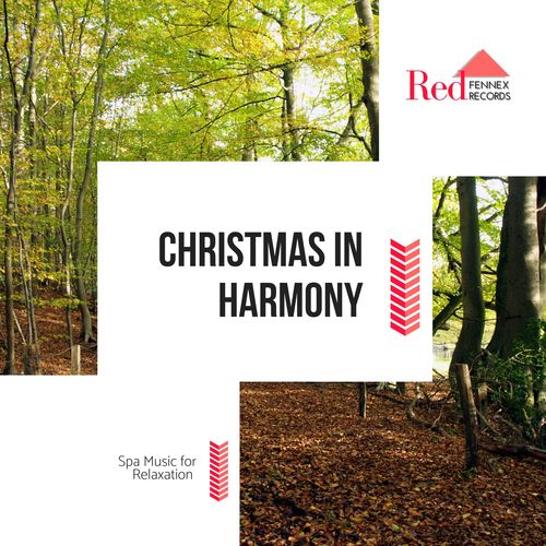 Christmas In Harmony - Spa Music For Relaxation