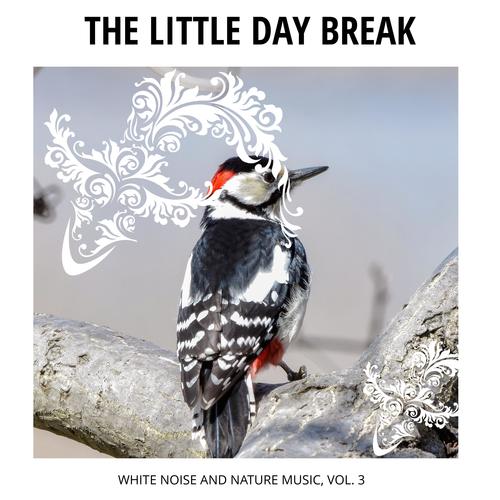 The Little Day Break - White Noise and Nature Music, Vol. 3