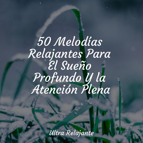 50 Melodías Relajantes Para El Sueño Profundo Y la Atención Plena