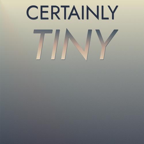 Certainly Tiny