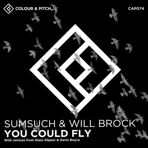 You Could Fly