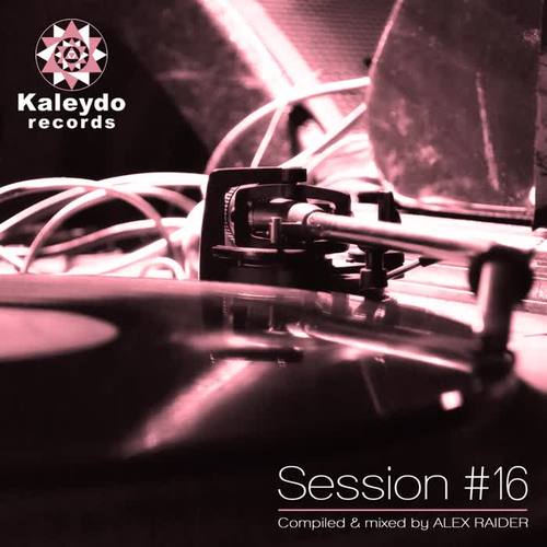 Kaleydo Records Session #16