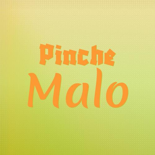 Pinche Malo