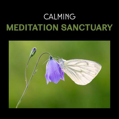 Calming Meditation Sanctuary – Healing Music to Keep Calm, Relax, Treatment of Insomnia, Anxiety Free, Om Meditation, Mindfulness Therapy