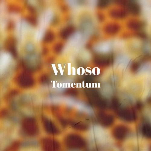 Whoso Tomentum