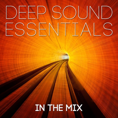 Deep Sound Essentials in the Mix