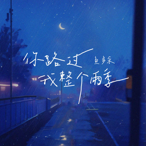 你路过我整个雨季