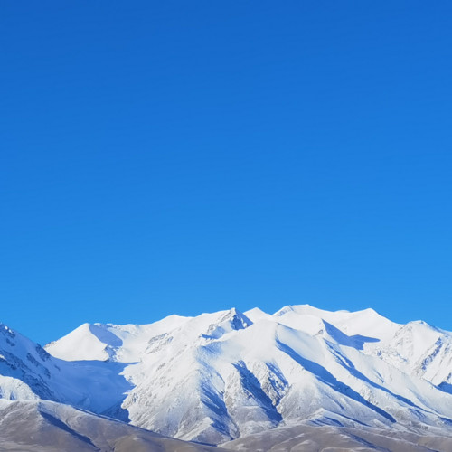 挺立雪山之巅