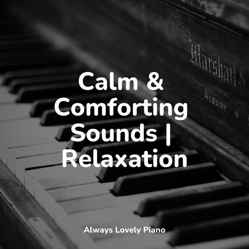 Calm & Comforting Sounds | Relaxation