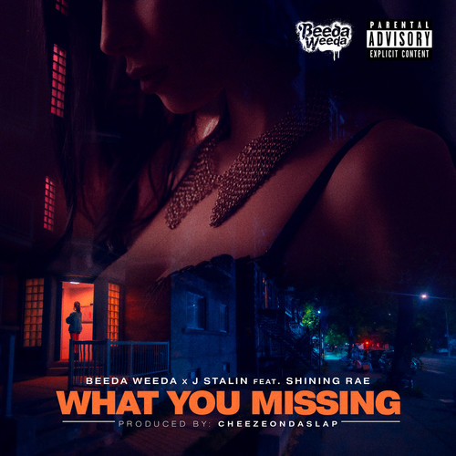 What You Missing (Explicit)