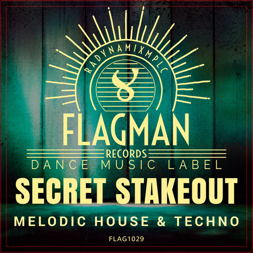 Secret Stakeout Melodic House & Techno