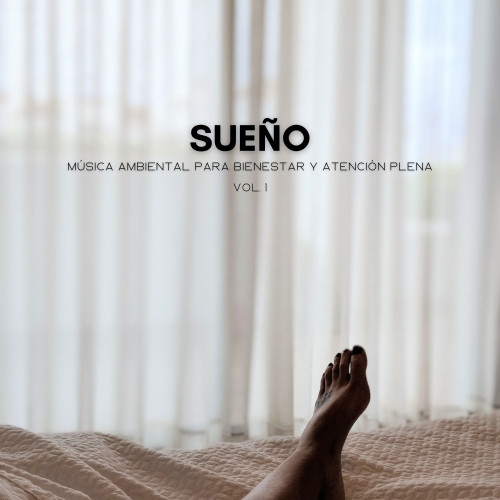 Sueño: Música Ambiental Para Bienestar Y Atención Plena Vol. 1