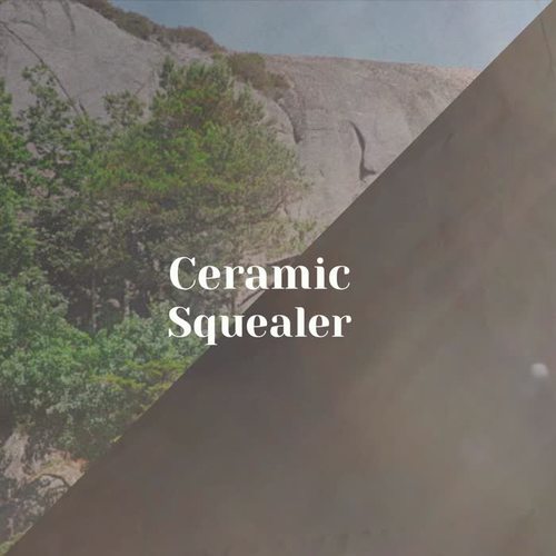 Ceramic Squealer