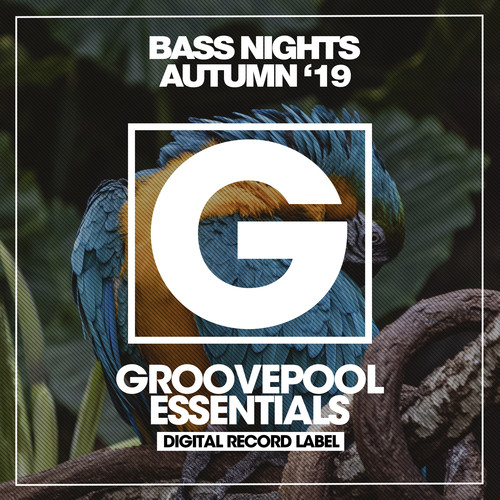 Bass Nights Autumn '19