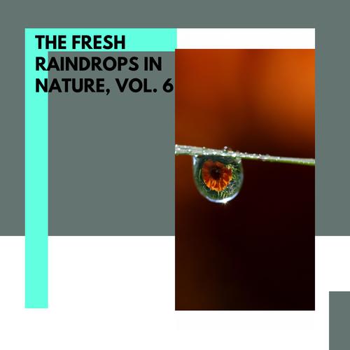 The Fresh Raindrops in Nature, Vol. 6