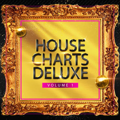 House Charts Deluxe, Vol. 1