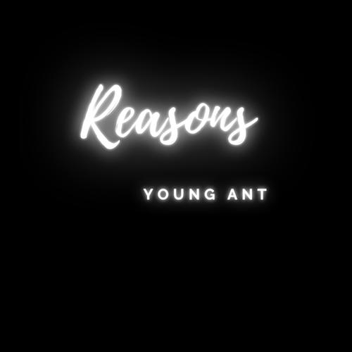 Reasons (Explicit)