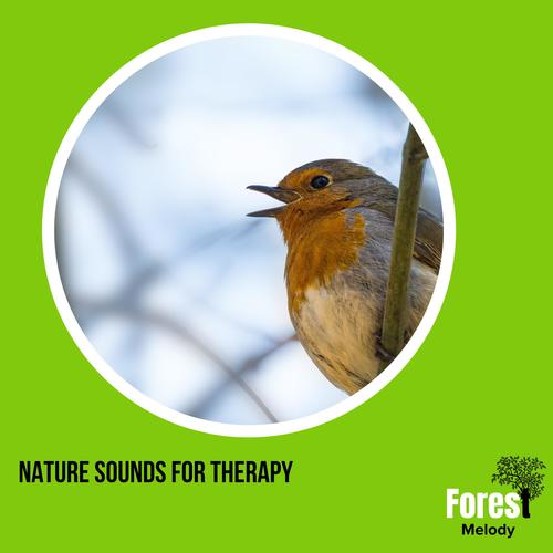 Nature Sounds for Therapy