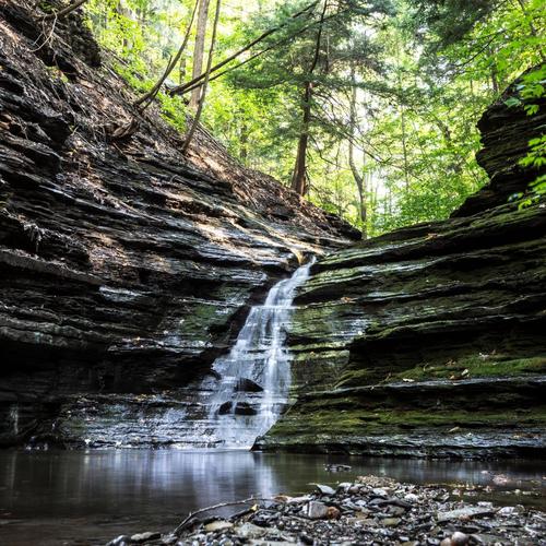 Waterfall and Bird Sounds in Australia