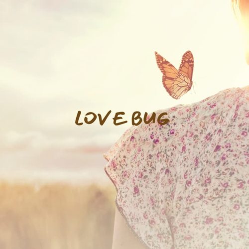 Love Bug