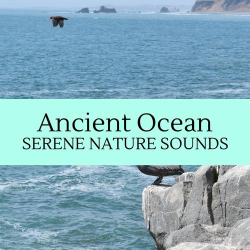 Ancient Ocean - Serene Nature Sounds