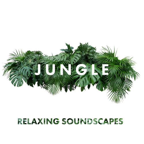 Jungle Relaxing Soundscapes – Exotix Music of Nature, Stress Relief, Calm Down