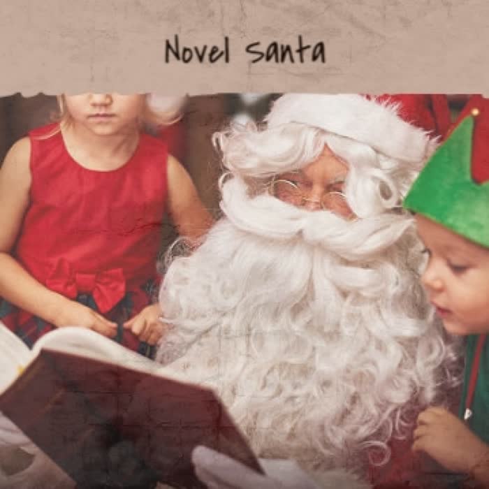 Novel Santa