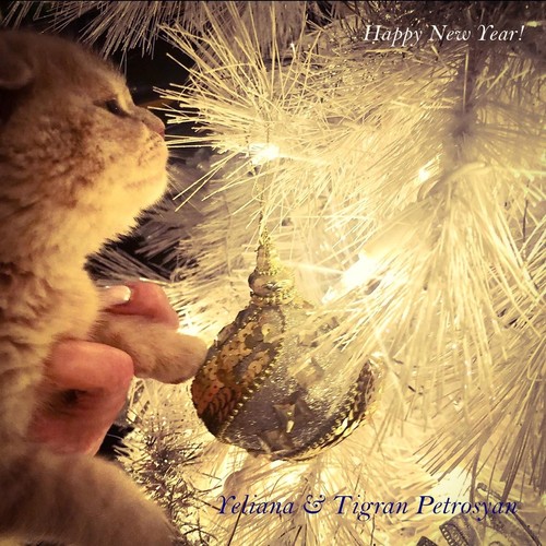 Happy New Year! (feat. Tigran Petrosyan)