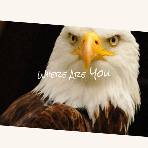 Where Are You