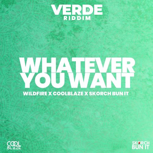 Whatever You Want (Explicit)