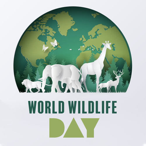 World Wildlife Day