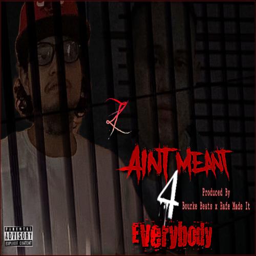 Ain't Meant 4 Everybody (Explicit)