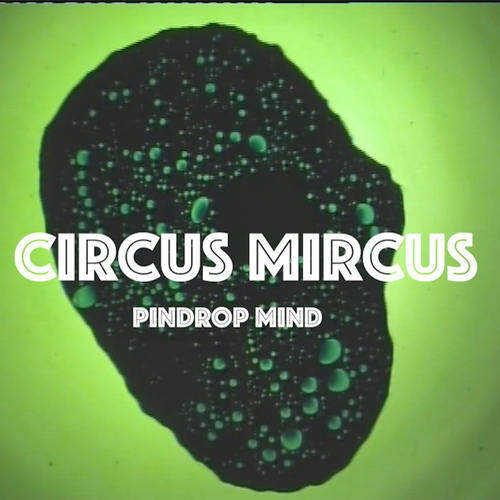 Pin-Drop Mind