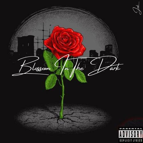 Blossom In The Dark (EP) [Explicit]