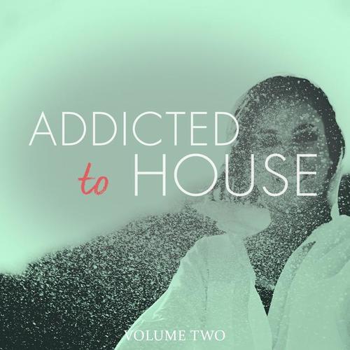 Addicted To House, Vol. 2 (Amazing Selection Of Modern House Tunes)