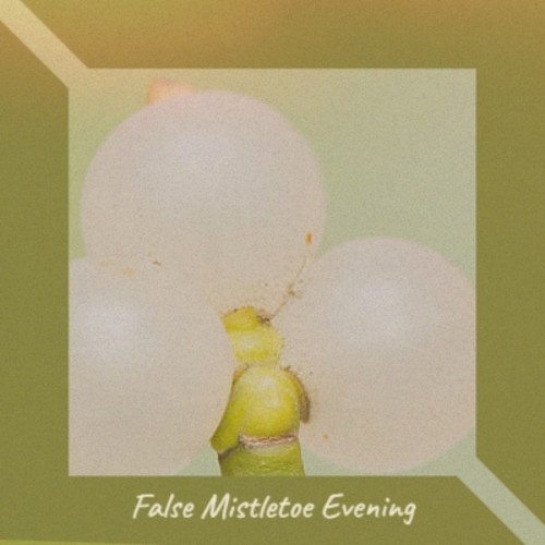 False Mistletoe Evening