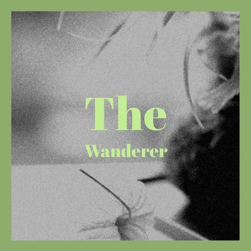 The Wanderer