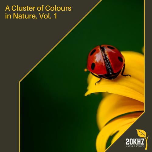 A Cluster of Colours in Nature, Vol. 1