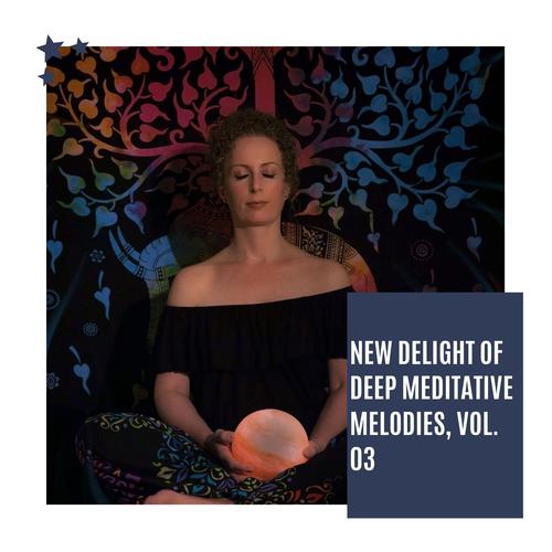 New Delight Of Deep Meditative Melodies, Vol. 03