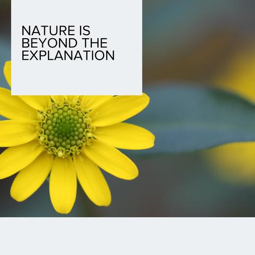 Nature is Beyond The Explanation