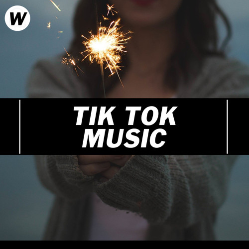 Tik Tok Music (Explicit)