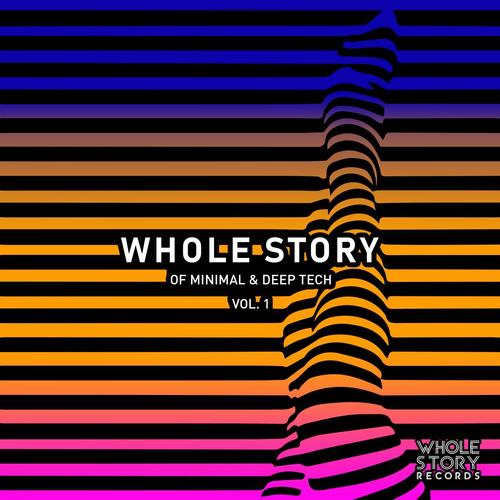 Whole Story Of Minimal & Deep Tech Vol. 1