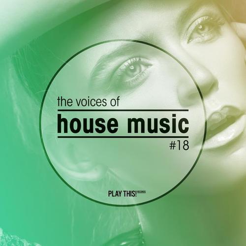 The Voices Of House Music, Vol. 18