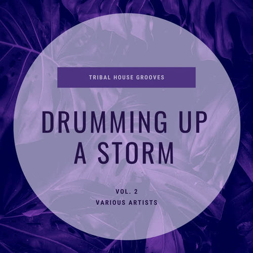 Drumming Up A Storm (Tribal House Grooves), Vol. 2