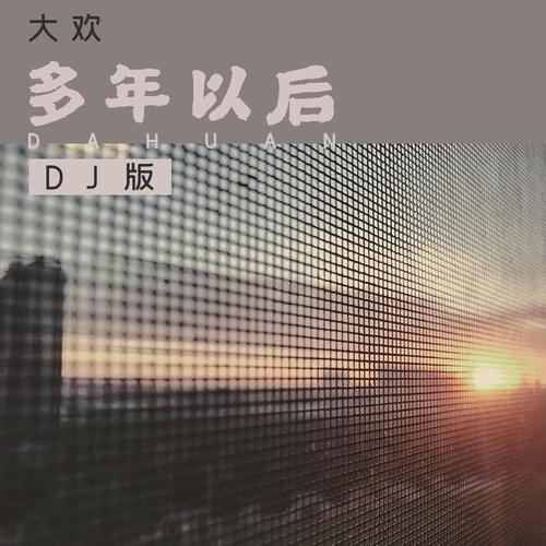 多年以后（DJ版）