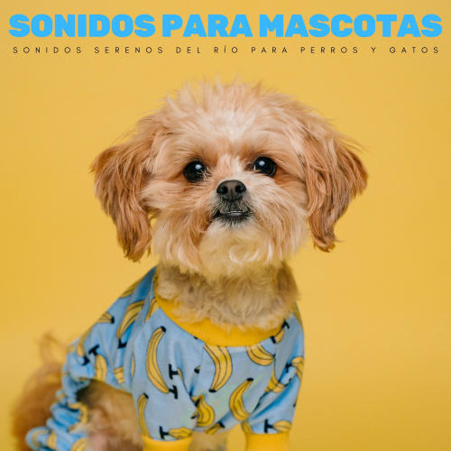 Sonidos Para Mascotas: Sonidos Serenos Del Río Para Perros Y Gatos