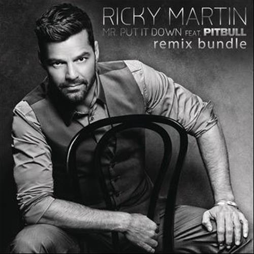 Mr. Put It Down (Remixes)