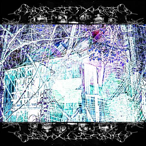 BELDAM
